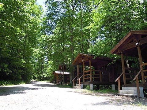 dscn0713.jpg